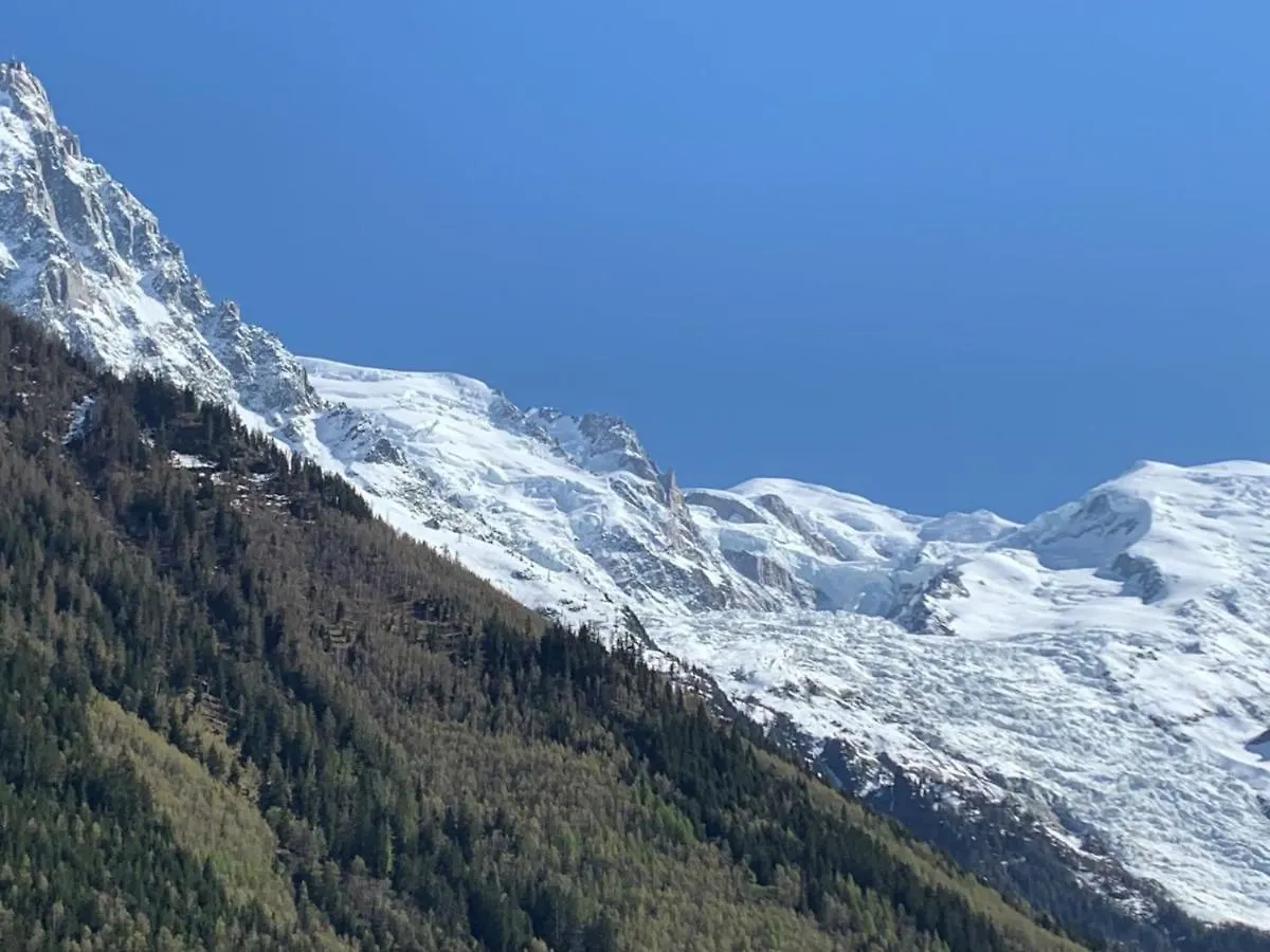 Studio Le Paccard-1 By Interhome Chamonix Apartment